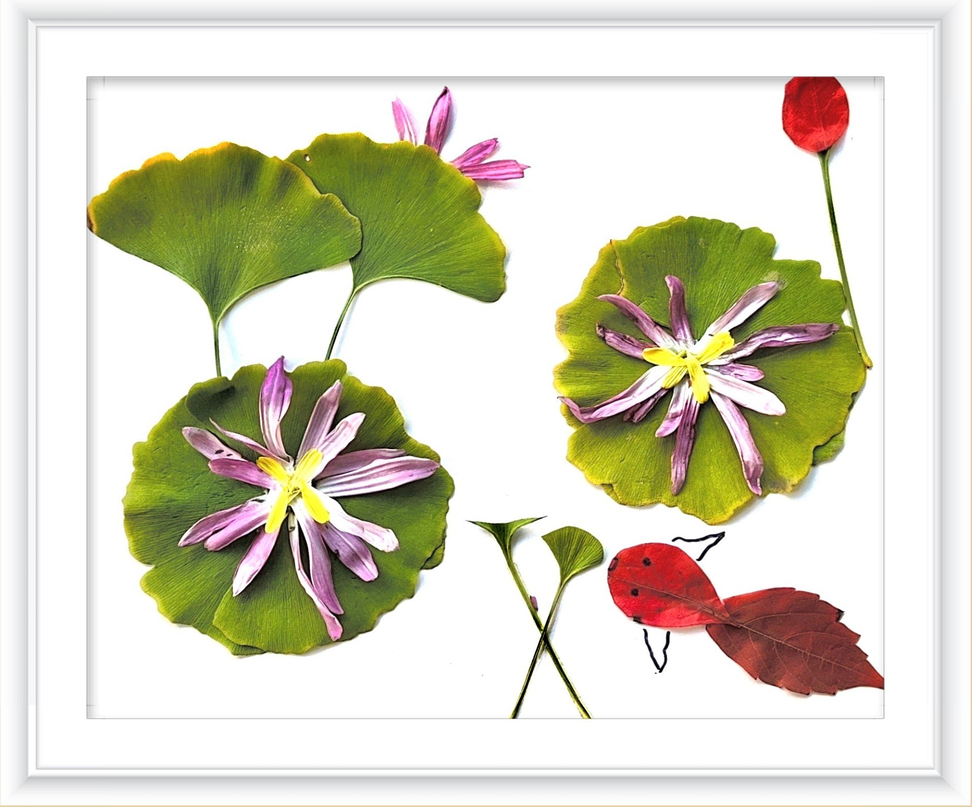 《一路清莲》作者：张颖蕊_副本.jpg